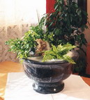 Stolní fontána F14